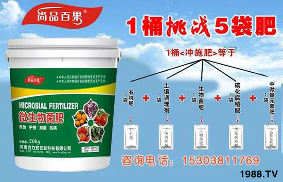 �����ϼ�������ȫ�w�T����ף�������옷���������⣡