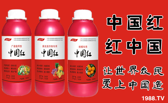 �����ϼ�������ȫ�w�T����ף�������옷������������