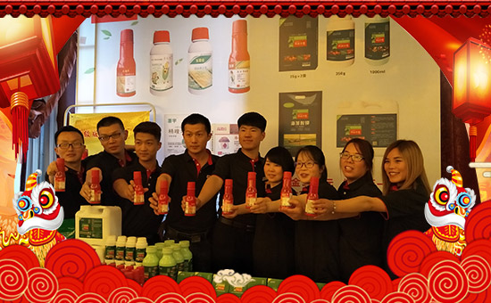 �����ϼ�������ȫ�w�T����ף�������옷���������⣡