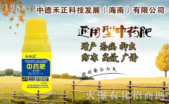 �����������еº���ף��������w������ؔ(c��i)Դ�L�L����