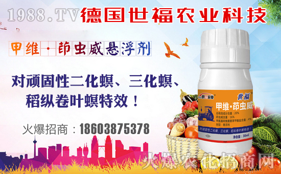 ����������ף����µ�һ�����f��������������棡