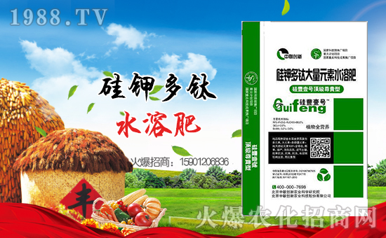 ����(li��n)��(chu��ng)�¡�ף������µ�һ�������w�������H�Қg��(l��)!