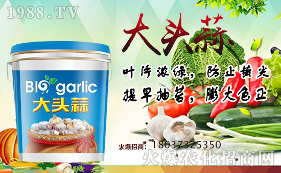 �����ƷʘI(y��)��ף������µ�һ����ؔԴ�L�L����