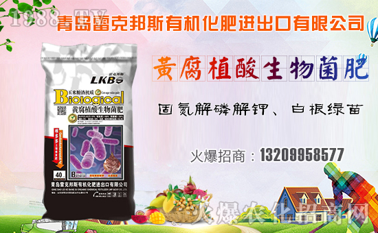 ���׿˰�˹��ף������µ�һ�����Ҹ����M���H�Қg����