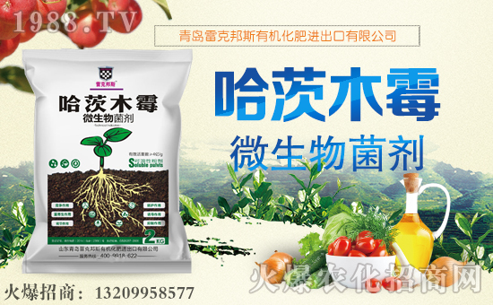 ���׿˰�˹��ף������µ�һ�����Ҹ����M���H�Қg����