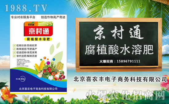 ��ϲ�r(n��ng)�S��ӡ�ף������µ�һ�������w�������f��������