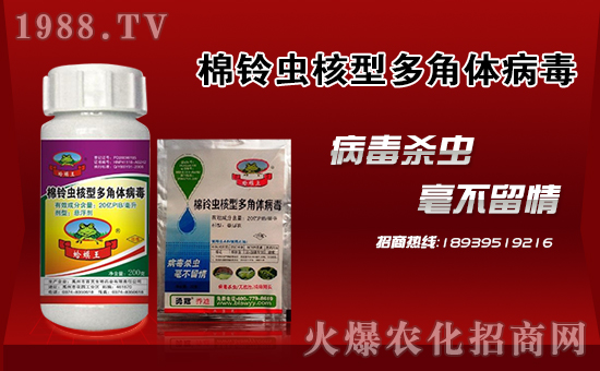 ���¹چ̵ϡ�ף������µ�һ�����f���������������