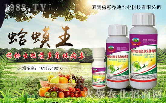 ���¹چ̵ϡ�ף������µ�һ�����f������������󼪣�