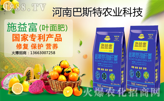 ����˹���r(n��ng)�I(y��)��ף������µ�һ�������w���������������