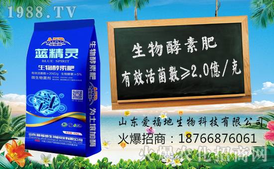 ���۸������ף������µ�һ�������w���������꼪����