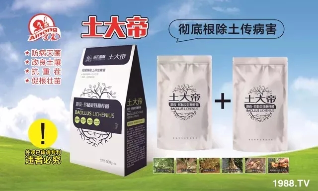 ����(��i)�r(n��ng)ֲ����ף����Ҹ����M���H�Қg��(l��)��