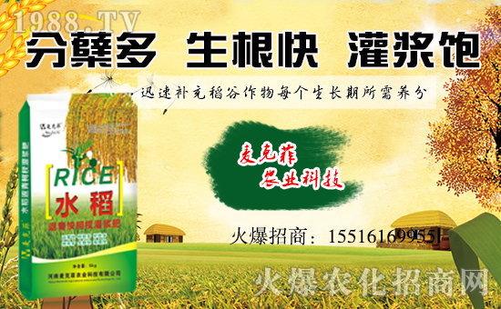 �����˷��r(n��ng)�I(y��)��ף��ҹ�������f��������