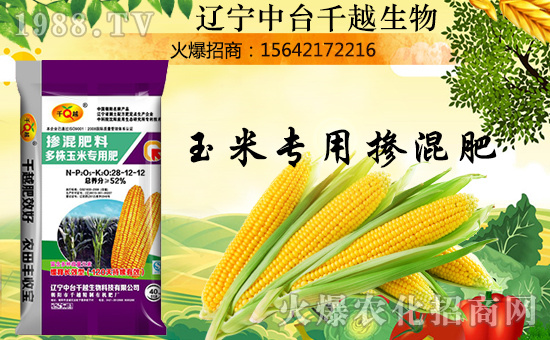 �����_(t��i)ǧԽ����Ȯߵ푼����T������ؔ(c��i)Դ�L�L�M(j��n)