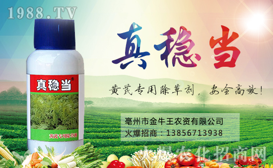 ����ţ����ף��ҹ���󼪣��f��������