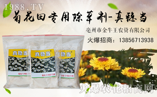 ����ţ����ף��ҹ���󼪣��f��������