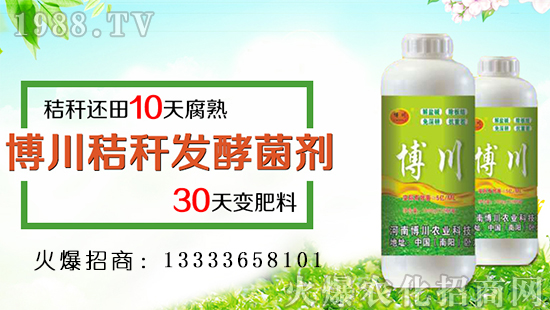 �������r(n��ng)�I(y��)��������ף�������옷���f��������