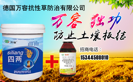 �����f�ݡ�ȫ�w�T����ףȫ����(j��ng)�N�����w����������l(f��)��ؔ(c��i)��