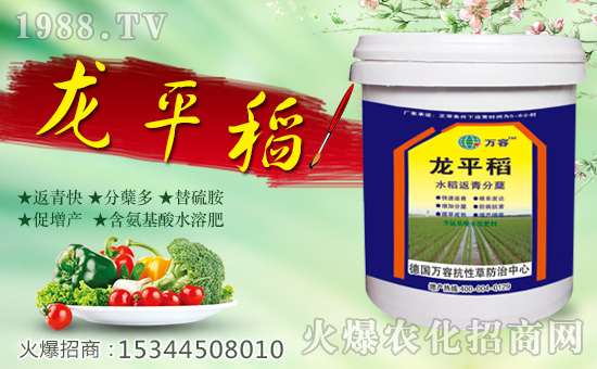 �����f�ݡ�ȫ�w�T����ףȫ����(j��ng)�N�����w����������l(f��)��ؔ(c��i)��