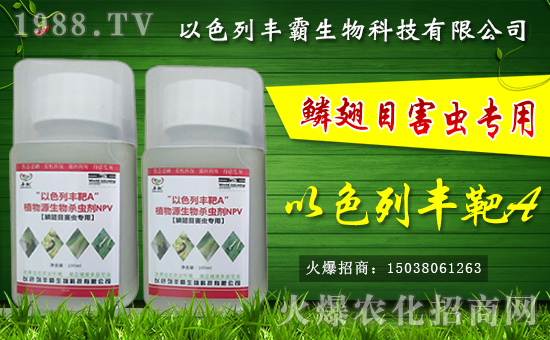 ���S�����ȫ�w�T����ף����´��옷(l��)�������d����