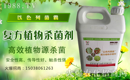 ���S�����ȫ�w�T����ף����´��옷(l��)�������d����