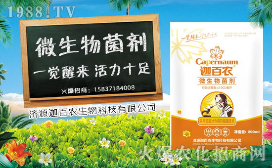 ���Ȱ��r(n��ng)����ף����´��옷���Ҹ�������