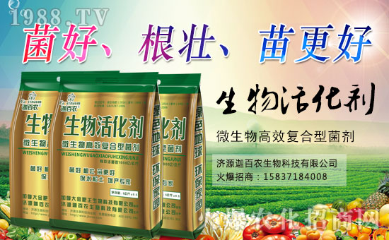 ���Ȱ��r(n��ng)����ף����´��옷���Ҹ�������