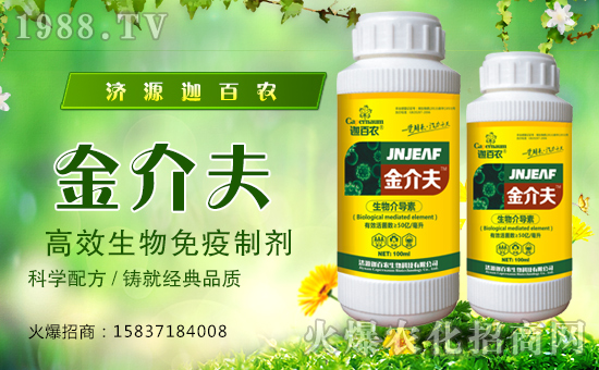 ���Ȱ��r(n��ng)����ף����´��옷���Ҹ�������