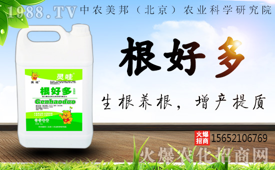 ���r����������r�I(y��)�ƌW�о�Ժ