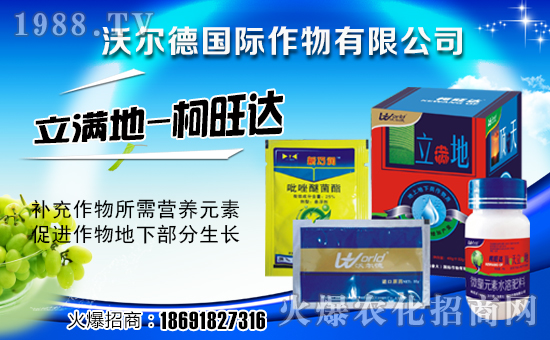 ���֠���(gu��)�H���ף��ҹ������������������