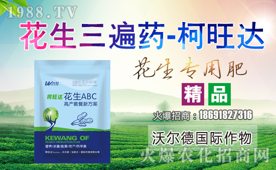 ���֠���(gu��)�H���ף��ҹ������������������