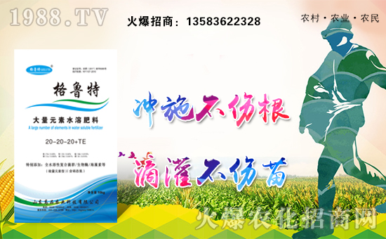 ��ɽ�|��Ʒ��ףȫ�������Ҹ��������f��������