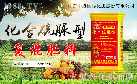 ���иۻ��ʡ�ףȫ�����ѹ������������������