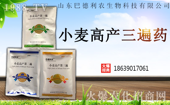 ɽ�|�͵����r����Ƽ����޹�˾