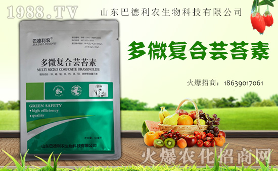 ɽ�|�͵����r����Ƽ����޹�˾