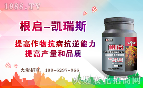 ���P��˹��(gu��)�H��ף������µ�һ�����H�Қg��(l��)���Ҹ����M��