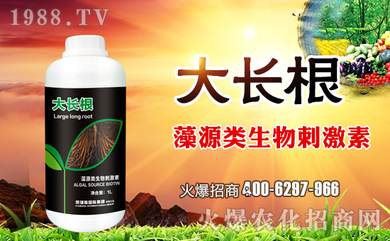 ���P��˹��(gu��)�H��ף������µ�һ�����H�Қg��(l��)���Ҹ����M��