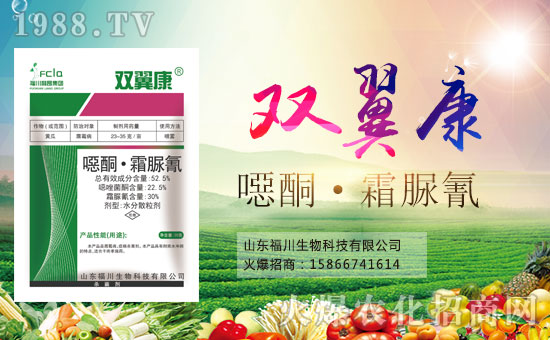 ���������ף������µ�һ�������d¡��ؔ(c��i)Դ�V�M(j��n)!