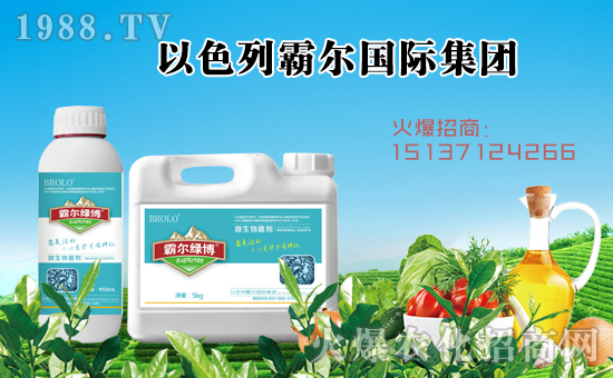 ���Ԡ���(gu��)�H��ףȫ��(gu��)�������µ�һ���﹤�����������������