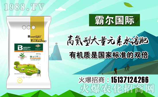 ���Ԡ���(gu��)�H��ףȫ��(gu��)�������µ�һ���﹤�����������������