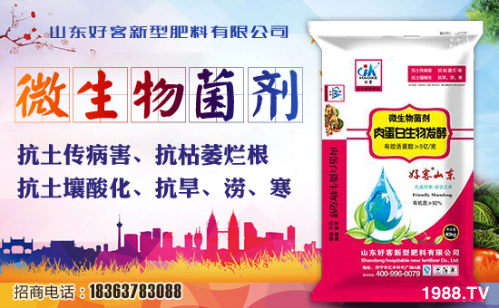 ʮ������η����(l��i)�������^(gu��)���������Ě����Α��h(yu��n)����