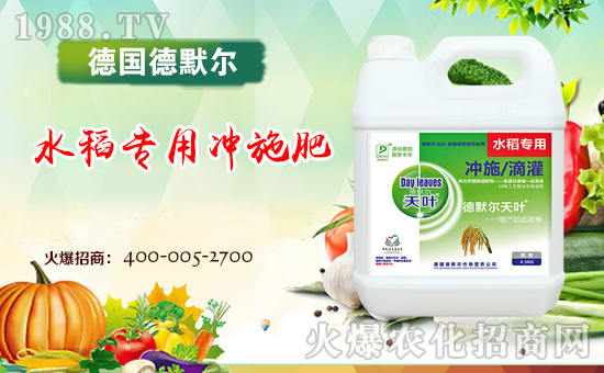 ������Ĭ����ף���2018��������\�������ո�������