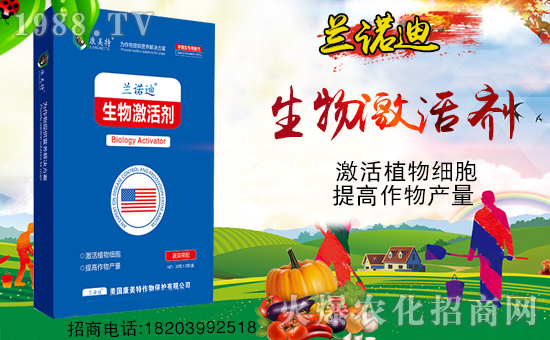 �����������ף������µ�һ���﹤�����������������