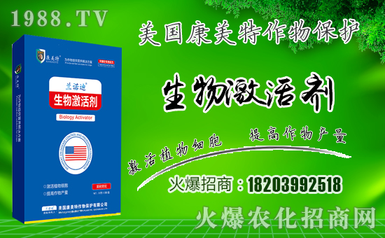 �����������ף������µ�һ���﹤�����������������