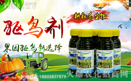 �����Ř�(l��)���ף������µ�һ���������³����f(w��n)�����⣡