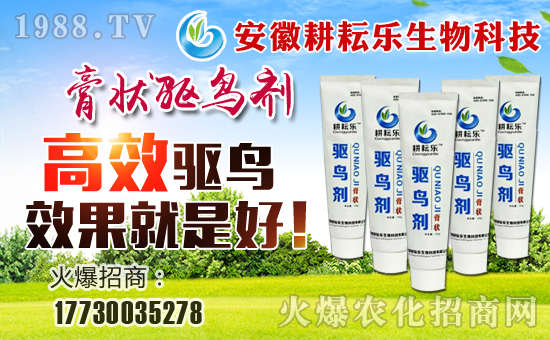 �����Ř�(l��)���ף������µ�һ���������³����f(w��n)��������