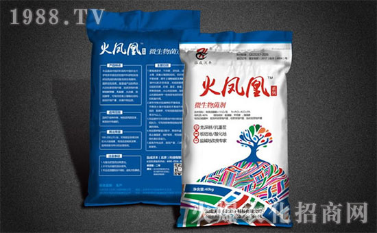 ���������S��ȫ�w�T��ף�V���r(n��ng)�Y���т�����(ji��)������Ҹ����M��