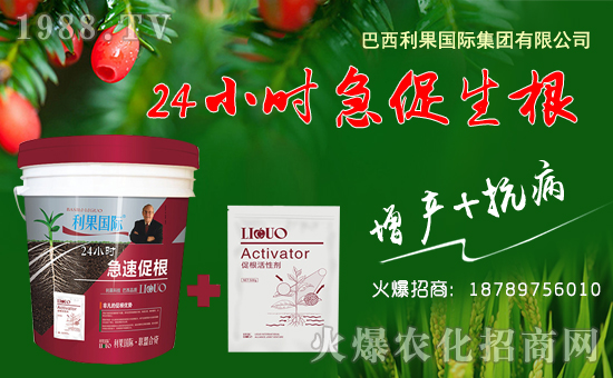 ���������H��ף������µ�һ���ﹷ������f�����⣡