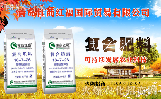 ��ס�̼t����ף������µ�һ�������w�������f�����⣡