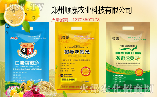 ��혼��r(n��ng)�I(y��)��ף��ҹ��������w�������f��������