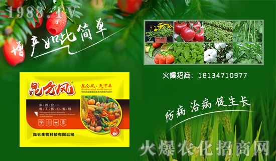 ���������ף��ҹ��������������t�t�����